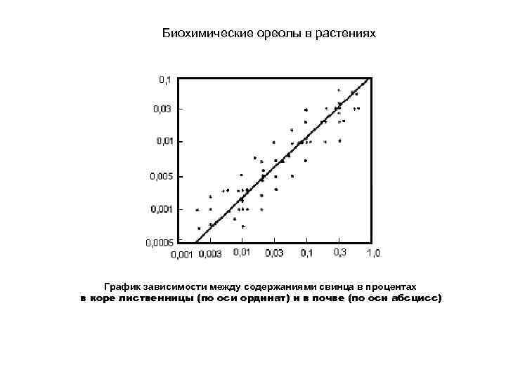 Биохимические ореолы в растениях График зависимости между содержаниями свинца в процентах в коре лиственницы