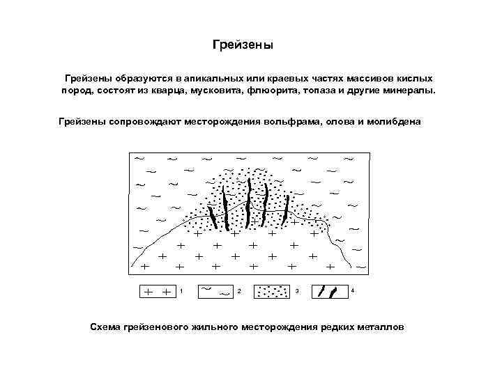 Грейзены образуются в апикальных или краевых частях массивов кислых пород, состоят из кварца, мусковита,