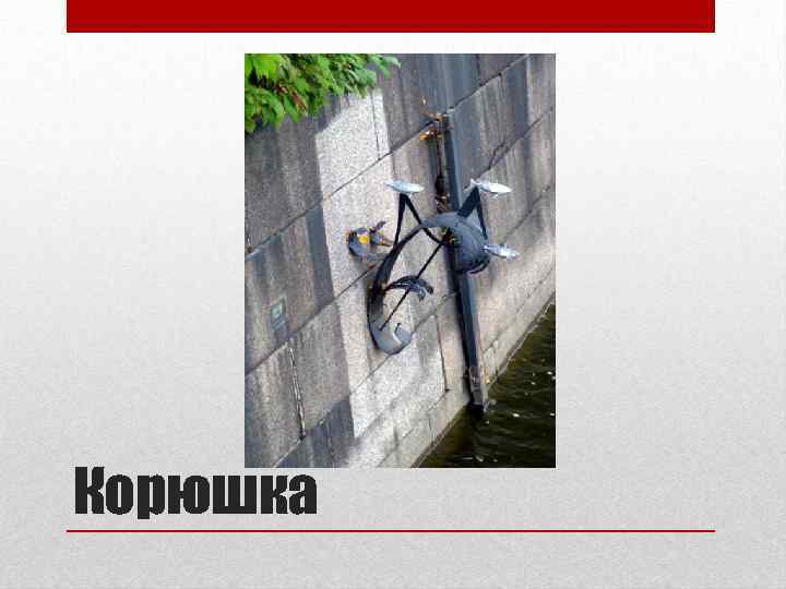 Корюшка 