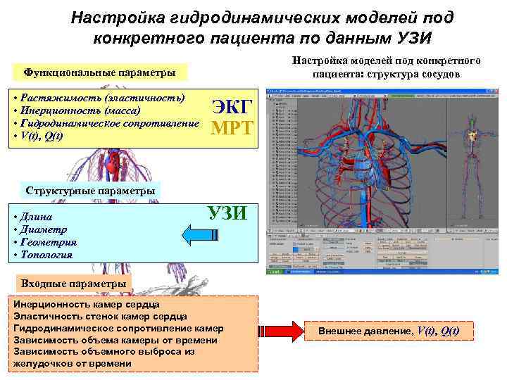 Настройка гидродинамических моделей под конкретного пациента по данным УЗИ Настройка моделей под конкретного пациента: