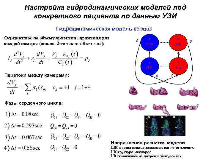 Настройка гидродинамических моделей под конкретного пациента по данным УЗИ Гидродинамическая модель сердца Осредненное по