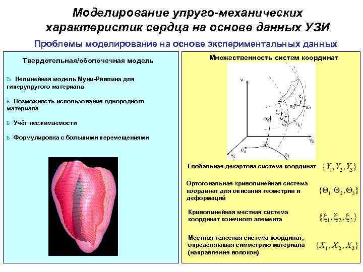 Моделирование упруго-механических характеристик сердца на основе данных УЗИ Проблемы моделирование на основе экспериментальных данных