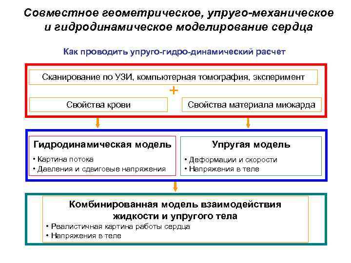 Совместное геометрическое, упруго-механическое и гидродинамическое моделирование сердца Как проводить упруго-гидро-динамический расчет Сканирование по УЗИ,