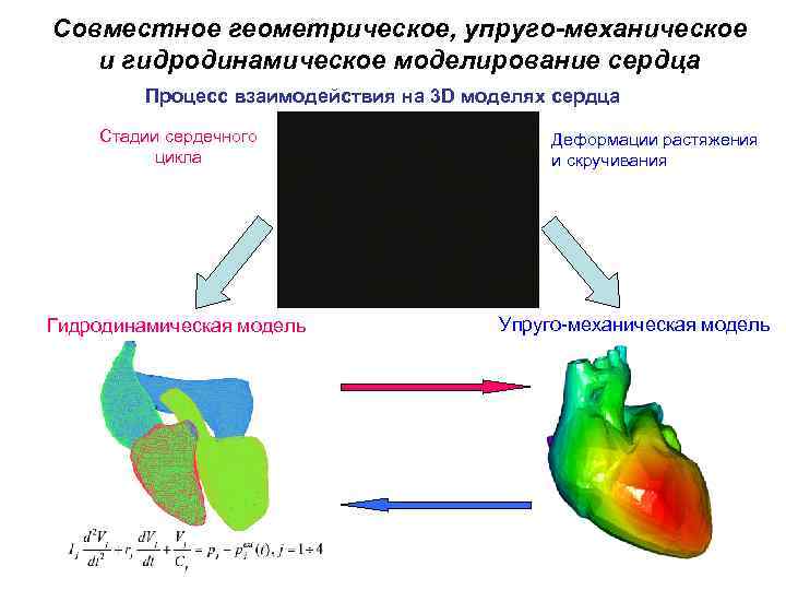 Совместное геометрическое, упруго-механическое и гидродинамическое моделирование сердца Процесс взаимодействия на 3 D моделях сердца