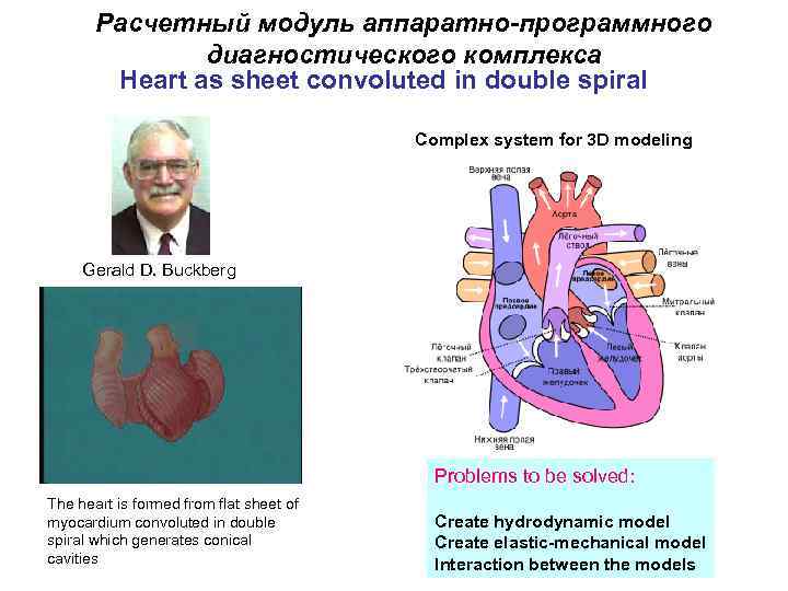 Расчетный модуль аппаратно-программного диагностического комплекса Heart as sheet convoluted in double spiral Complex system