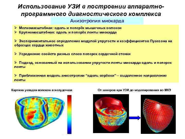 Использование УЗИ в построении аппаратнопрограммного диагностического комплекса Анизотропия миокарда Ø Мелкомасштабная: вдоль и поперёк