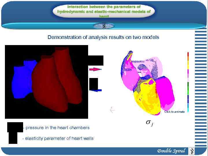 Interaction between the parameters of hydrodynamic and elastic-mechanical models of heart Demonstration of analysis