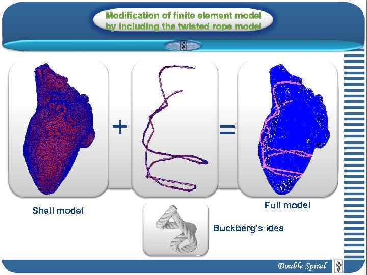 Modification of finite element model by including the twisted rope model + Shell model