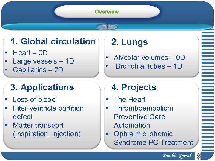 Overview 1. Global circulation • Heart – 0 D • Large vessels – 1