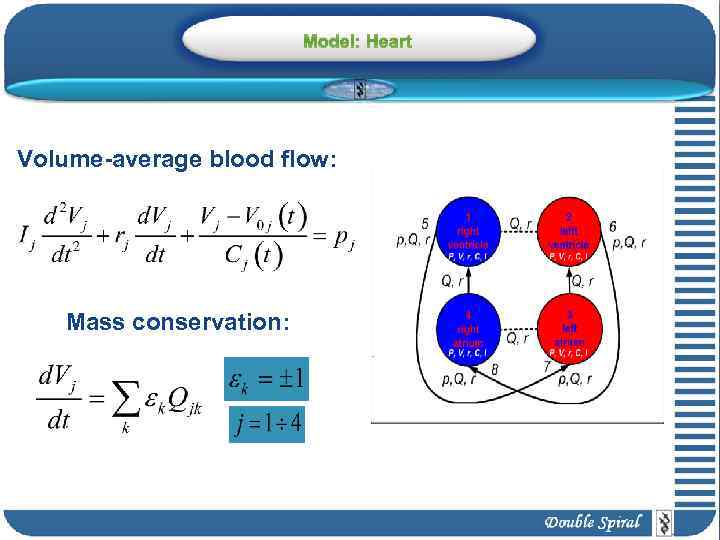 Model: Heart Volume-average blood flow: Mass conservation: 