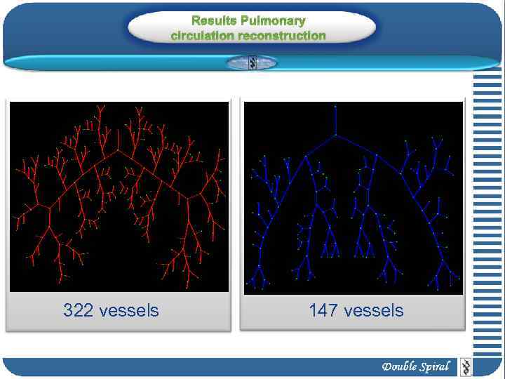 Results Pulmonary circulation reconstruction 322 vessels 147 vessels 