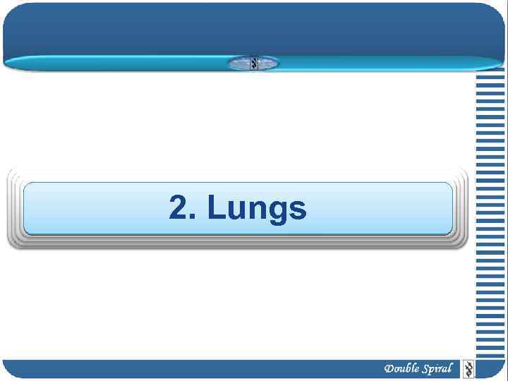 2. Lungs 