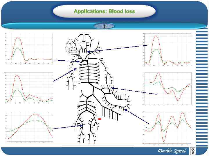 Applications: Blood loss 