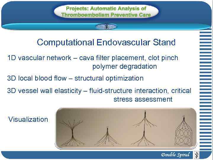 Projects: Automatic Analysis of Thromboembolism Preventive Care Computational Endovascular Stand 1 D vascular network
