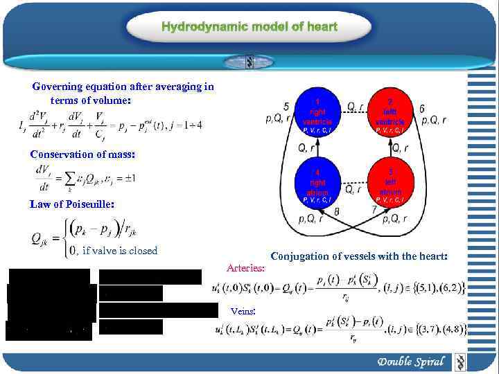 Hydrodynamic model of heart Governing equation after averaging in terms of volume: Conservation of