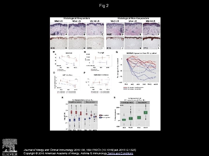 Fig 2 Journal of Allergy and Clinical Immunology 2016 138, 169 -178 DOI: (10.