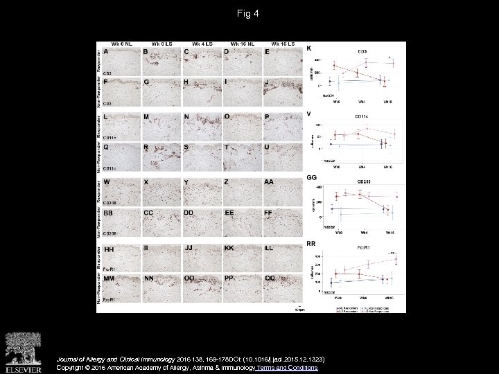 Fig 4 Journal of Allergy and Clinical Immunology 2016 138, 169 -178 DOI: (10.