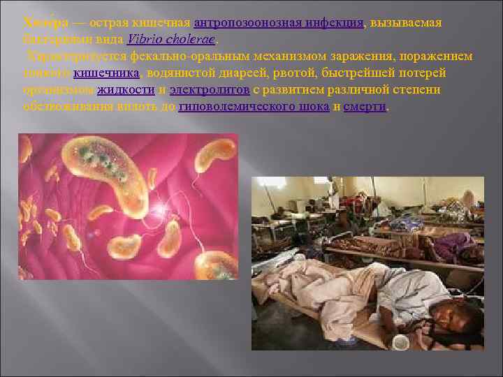Холе ра — острая кишечная антропозоонозная инфекция, вызываемая бактериями вида Vibrio cholerae. Характеризуется фекально-оральным