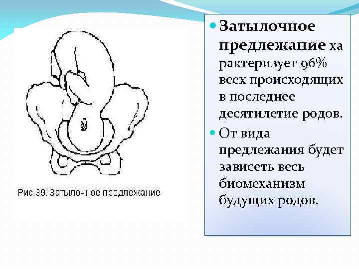  Затылочное предлежание ха рактеризует 96% всех происходящих в последнее десятилетие родов. От вида