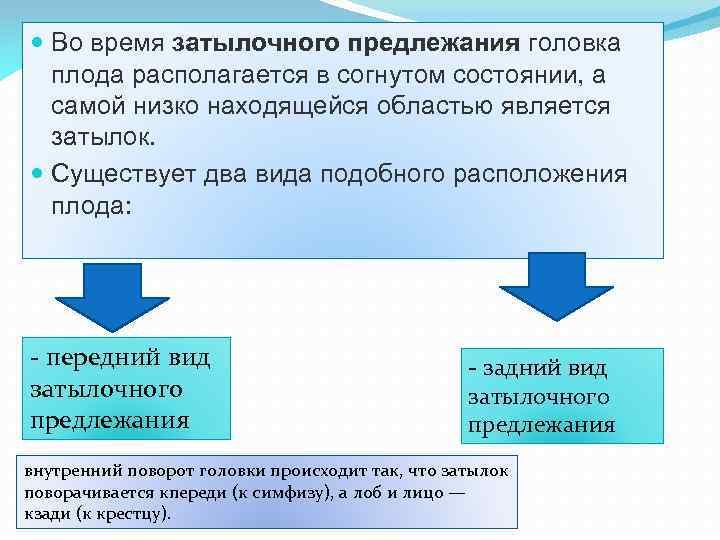  Во время затылочного предлежания головка плода располагается в согнутом состоянии, а самой низко
