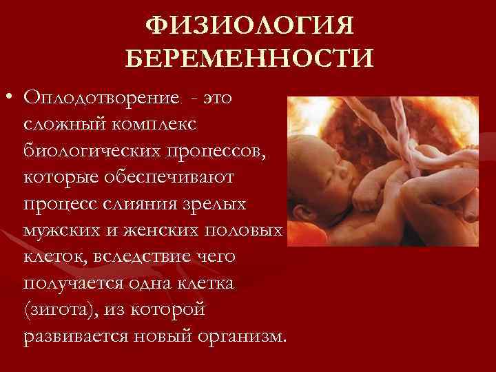 ФИЗИОЛОГИЯ БЕРЕМЕННОСТИ • Оплодотворение - это сложный комплекс биологических процессов, которые обеспечивают процесс слияния