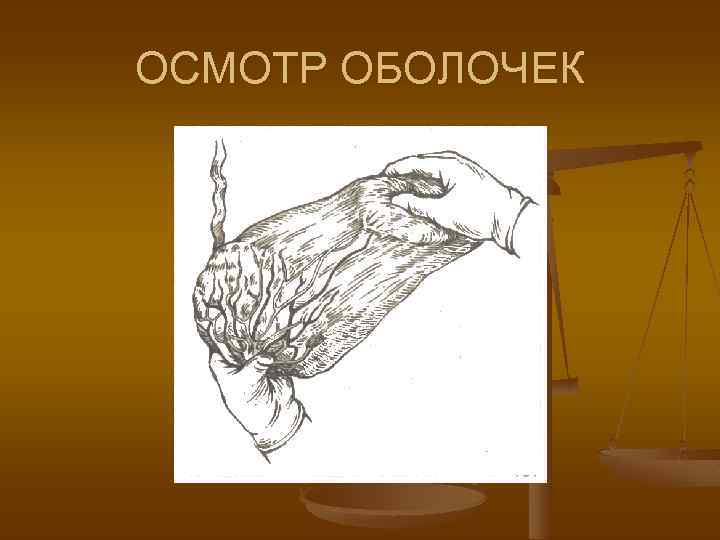 ОСМОТР ОБОЛОЧЕК 