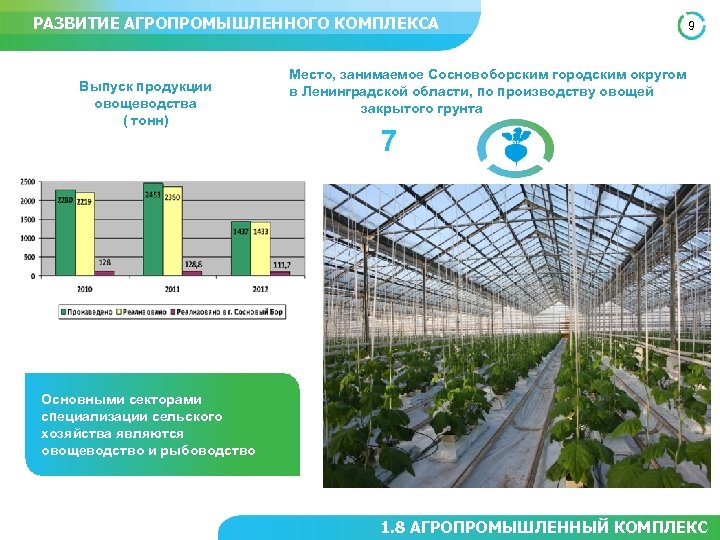 РАЗВИТИЕ АГРОПРОМЫШЛЕННОГО КОМПЛЕКСА Выпуск продукции овощеводства ( тонн) 9 Место, занимаемое Сосновоборским городским округом