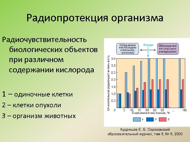 Радиопротекция организма Радиочувствительность биологических объектов при различном содержании кислорода 1 – одиночные клетки 2
