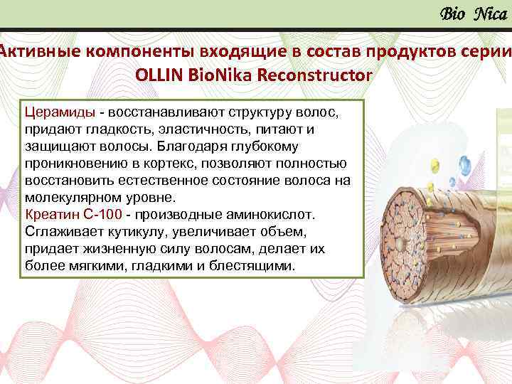 Bio Nica Активные компоненты входящие в состав продуктов серии OLLIN Bio. Nika Reconstructor Церамиды