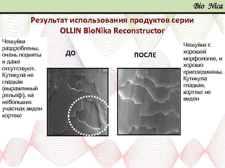 Bio Nica Результат использования продуктов серии OLLIN Bio. Nika Reconstructor Чешуйки с Чешуйки раздроблены,