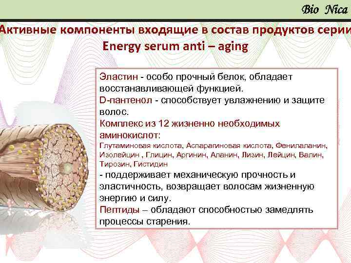 Bio Nica Активные компоненты входящие в состав продуктов серии Energy serum anti – aging