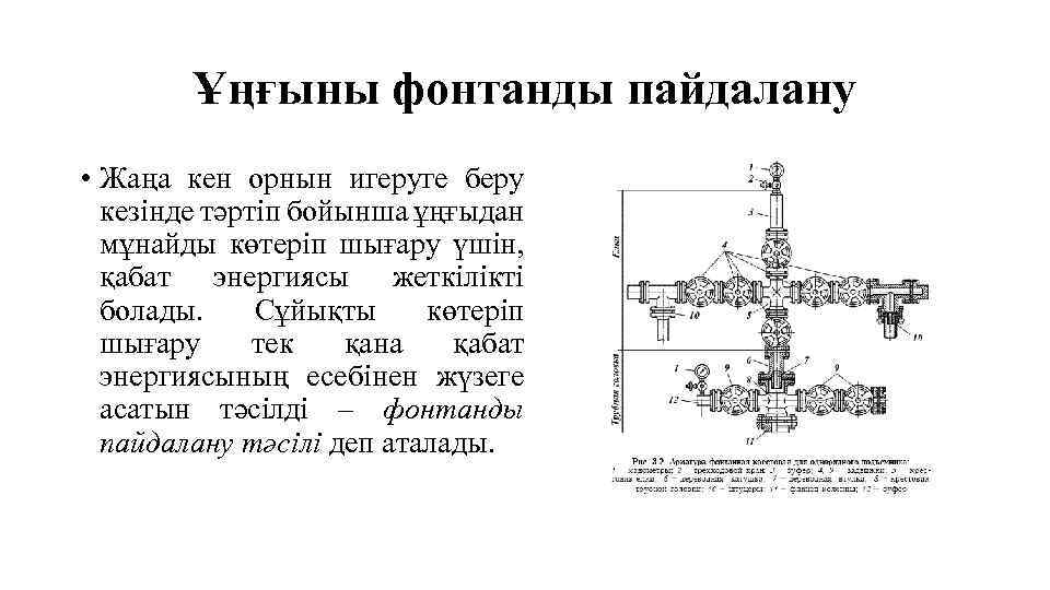 Ұңғыны фонтанды пайдалану • Жаңа кен орнын игеруге беру кезінде тәртіп бойынша ұңғыдан мұнайды