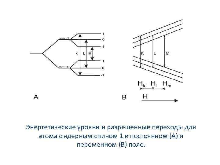 Энергетические уровни и разрешенные переходы для атома с ядерным спином 1 в постоянном (А)