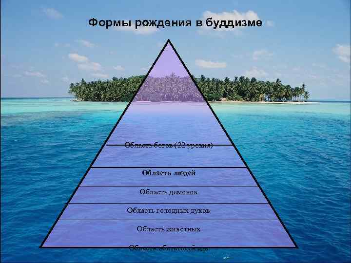 Формы рождения в буддизме Область богов (22 уровня) Область людей Область демонов Область голодных