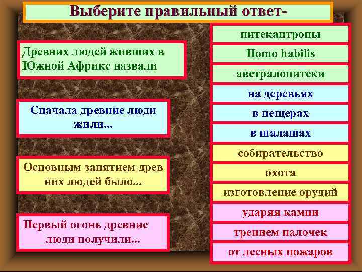Выберите правильный ответпитекантропы Древних людей живших в Южной Африке назвали Homo habilis австралопитеки на