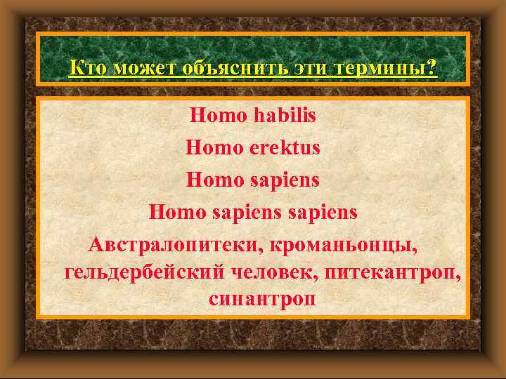Кто может объяснить эти термины? Homo habilis Homo erektus Homo sapiens Австралопитеки, кроманьонцы, гельдербейский
