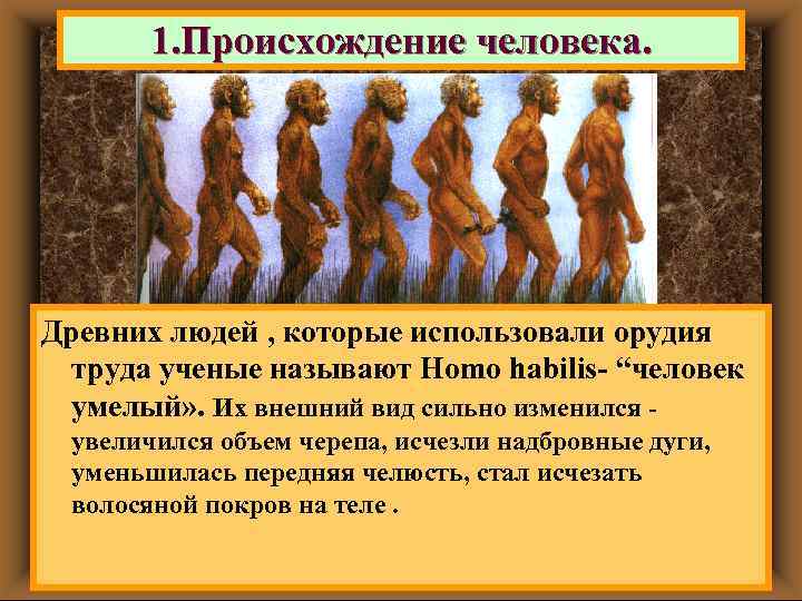 1. Происхождение человека. Древних людей были маленького роста, их тело Австалопитеки , которые использовали