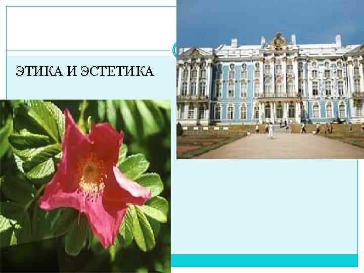 ЭТИКА И ЭСТЕТИКА 