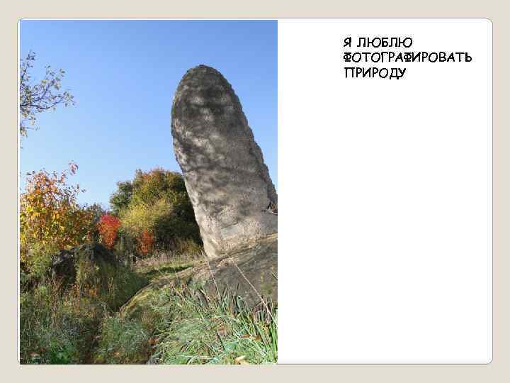 Я ЛЮБЛЮ ФОТОГРАФИРОВАТЬ ПРИРОДУ 