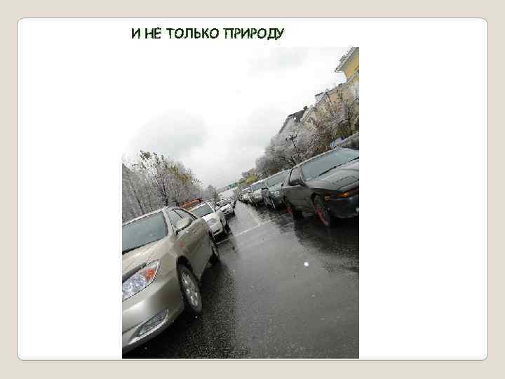 И НЕ ТОЛЬКО ПРИРОДУ 