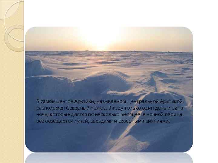 В самом центре Арктики, называемом Центральной Арктикой, расположен Северный полюс. В году только один