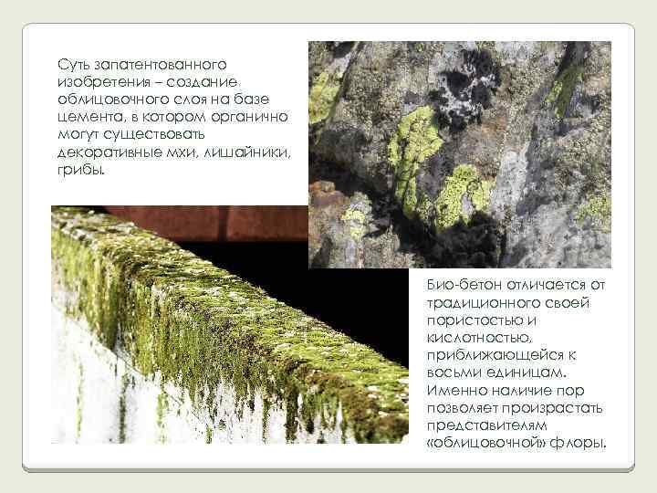 Суть запатентованного изобретения – создание облицовочного слоя на базе цемента, в котором органично могут