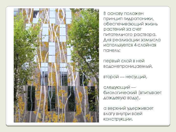 В основу положен принцип гидропоники, обеспечивающий жизнь растений за счет питательного раствора. Для реализации