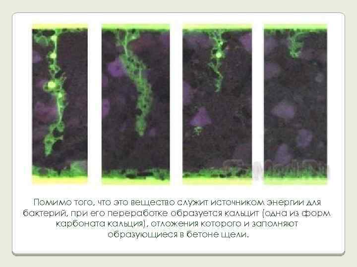 Помимо того, что это вещество служит источником энергии для бактерий, при его переработке образуется