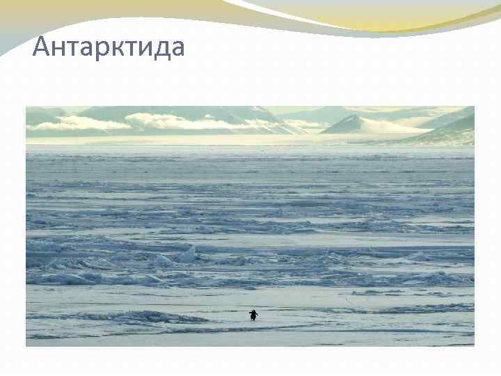  Антарктида 