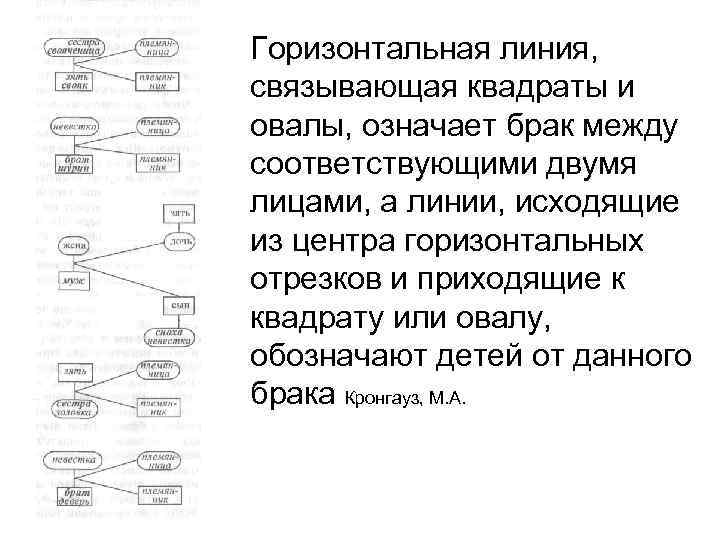 Горизонтальная линия, связывающая квадраты и овалы, означает брак между соответствующими двумя лицами, а линии,