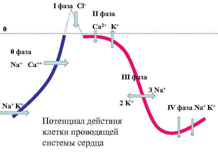 Схема превращения cl 1 cl0