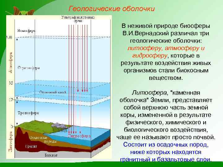 Геологические оболочки В неживой природе биосферы В. И. Вернадский различал три геологические оболочки: литосферу,