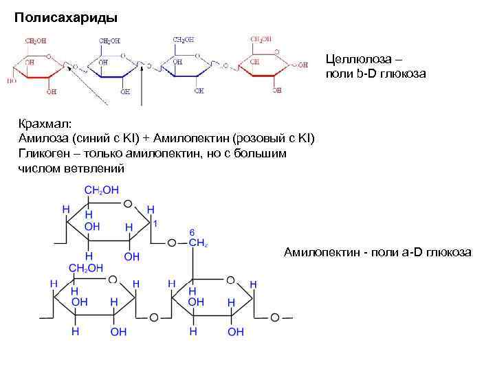 Полисахариды Целлюлоза – поли b-D глюкоза Крахмал: Амилоза (синий с KI) + Амилопектин (розовый