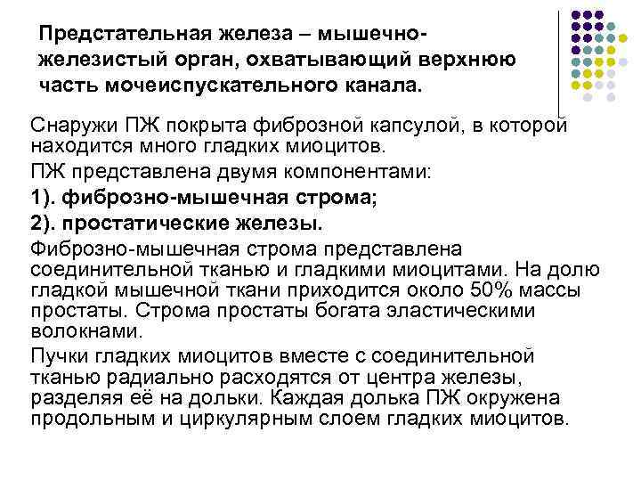Предстательная железа – мышечножелезистый орган, охватывающий верхнюю часть мочеиспускательного канала. Снаружи ПЖ покрыта фиброзной